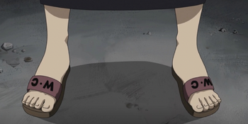 Izumi's W.C. sandals.