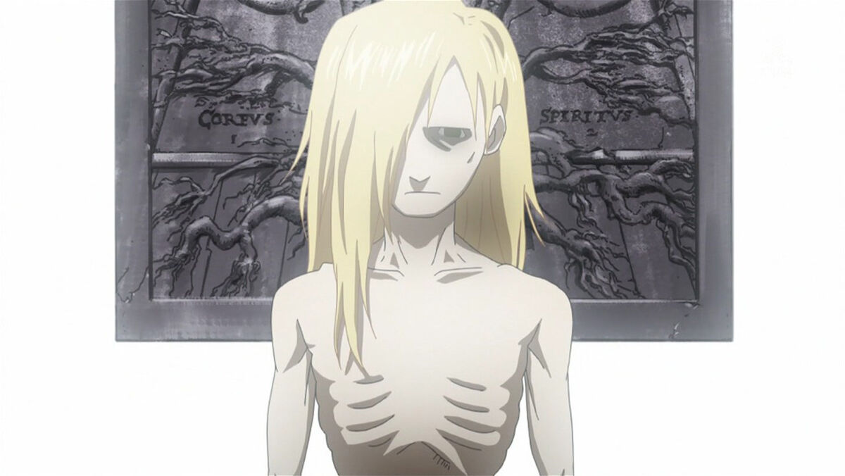 Episode 41: The Abyss (2009 series), Fullmetal Alchemist Wiki