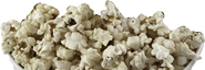 The texture of the Popcorn bowl that covers Minireena in the popcorn easter egg.