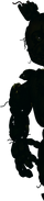 The image of Springtrap as he hides behind the doorway.