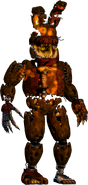 jacko - bonnie