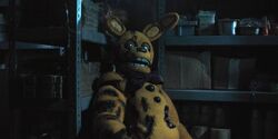Spring Bonnie Stuck