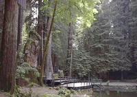 The Owl Shrine covered in moss, standing among trees behind a stage at one edge of a man-made pond