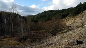Jonas Valley between Crawinkel and Arnstadt