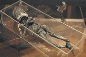 Alyoshenka's skeleton