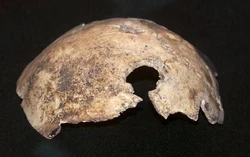 Hitler’s skull?'"`UNIQ--ref-00000000-QINU`"'