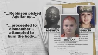 “No_credible_evidence”