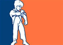 Orania's flag