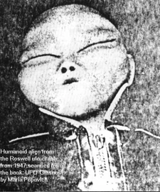 grey coloured occupant 1'"`UNIQ--ref-00000000-QINU`"'