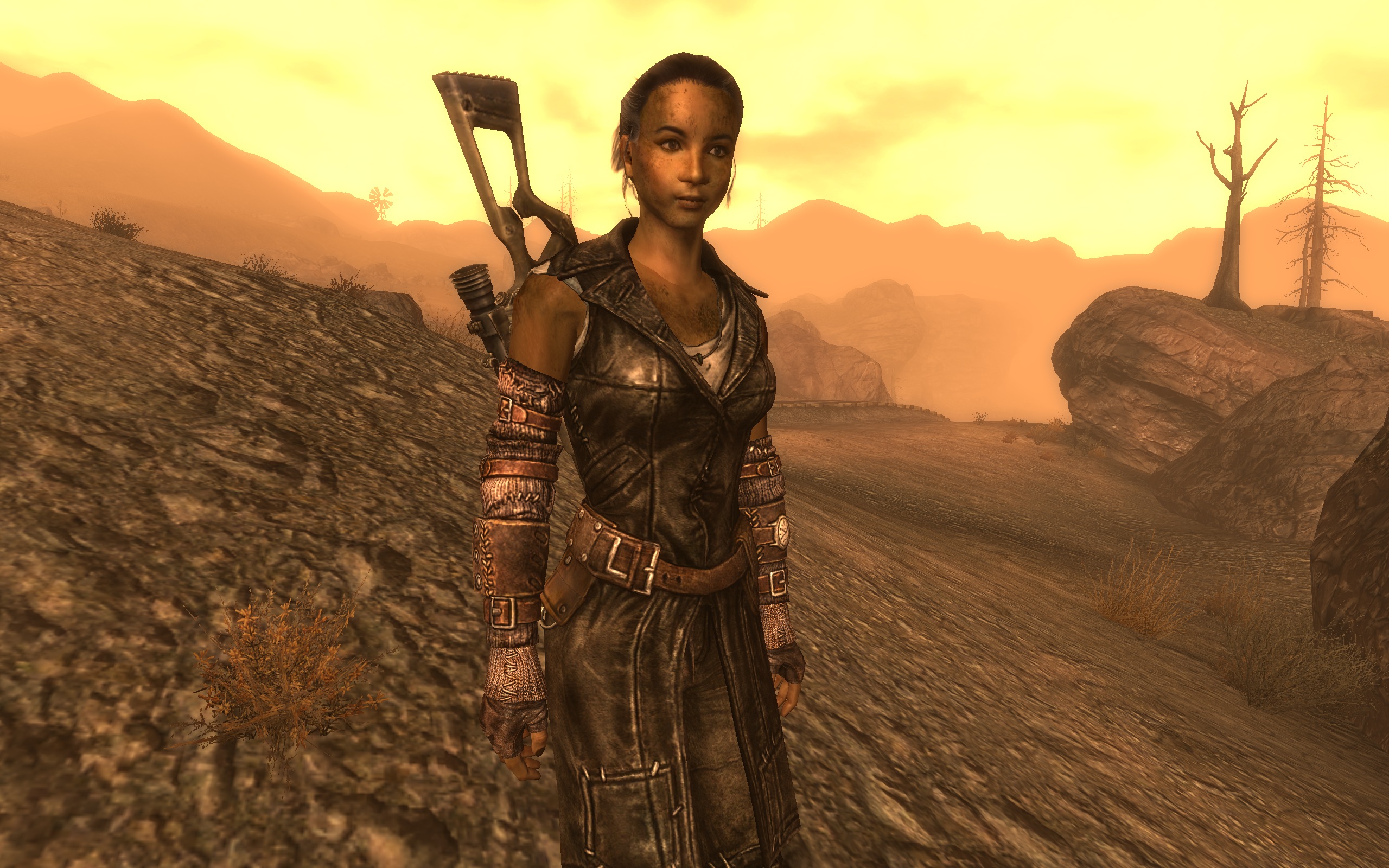 fallout new vegas dust mods fallout new vegas dust mods