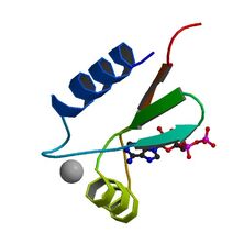 1UW1 (SCOPe Family k.42.1.1)