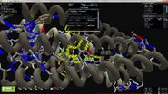 Hydrogen Bond Network Test 2