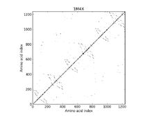 1M4X - Contact Map