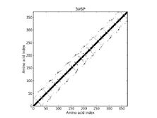 3V6P - Contact Map