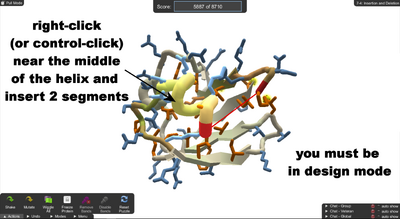 Level 7-4 Insertion and Deletion