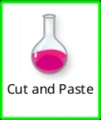 Cut and Paste