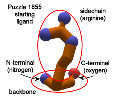 Puzzle 1855 starting ligand