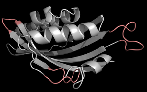 Starting structure with "special attention regions" in pink