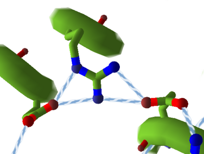 HydrogenBondsSidechain