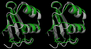 VC#2 in Cross-Eye stereo view (Start in grey)