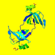 3NPP in jmol