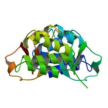 3FKE (SCOPe Family d.388.1.1)