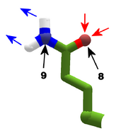 Glutamine.