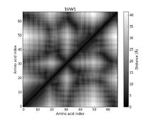 1UW1 - Distance Map