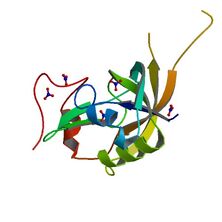 3JUB (SCOPe Family d.269.1.1)