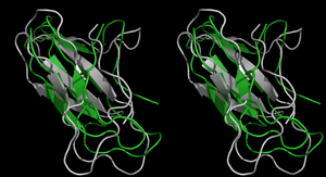 VC#2 in Cross-Eye stereo view (Start in grey)