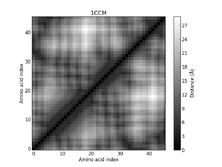 1CCM - Distance Map 1