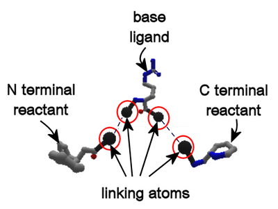 Puzzle 1855 linking atoms