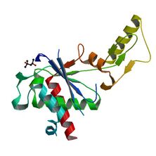 3M4I (SCOPe Family e.78.1.1)