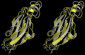 VC#3 in Cross-Eye stereo view (Start in grey)