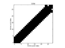 1COI - Contact Map