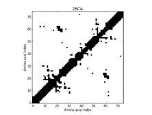 2BCA - Contact Map