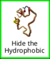 Hide the Hydrophobic