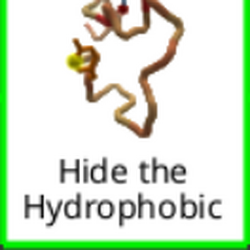 Hide the Hydrophobic.png