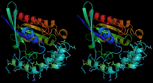 wf-VC#3 in Cross-Eye stereo view (T0797 in cyan with leucines in lime, T0798 in rainbow)