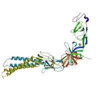 3LNN (SCOPe Family f.46.1.0)