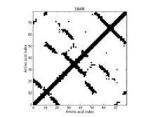 1B4R - Contact Map 1