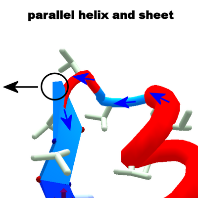 H-L-E parallel