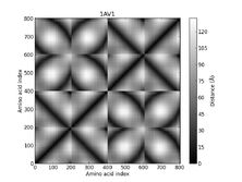 1AV1 - Distance Map