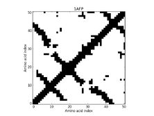 1AFP - Contact Map 1