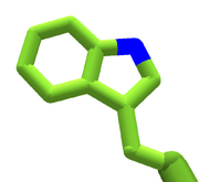 Tryptophan.enzdes
