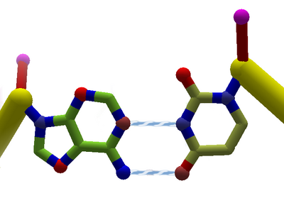 Adenine.uracil