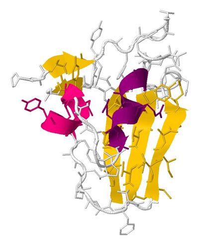 Spike protein - Wikipedia