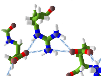 HydrogenBondsSidechain