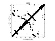 1BCG - Contact Map