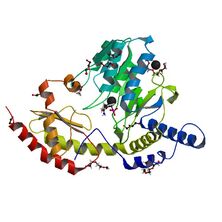 4R5F (SCOPe Family c.67.1.0)